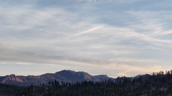 Blog's Back